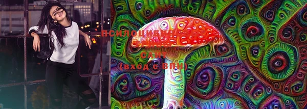 ECSTASY Абаза