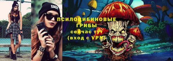 кокс Алексин
