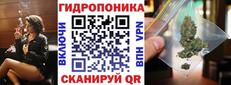 магазин продажи   Миньяр  Каннабис OG Kush 